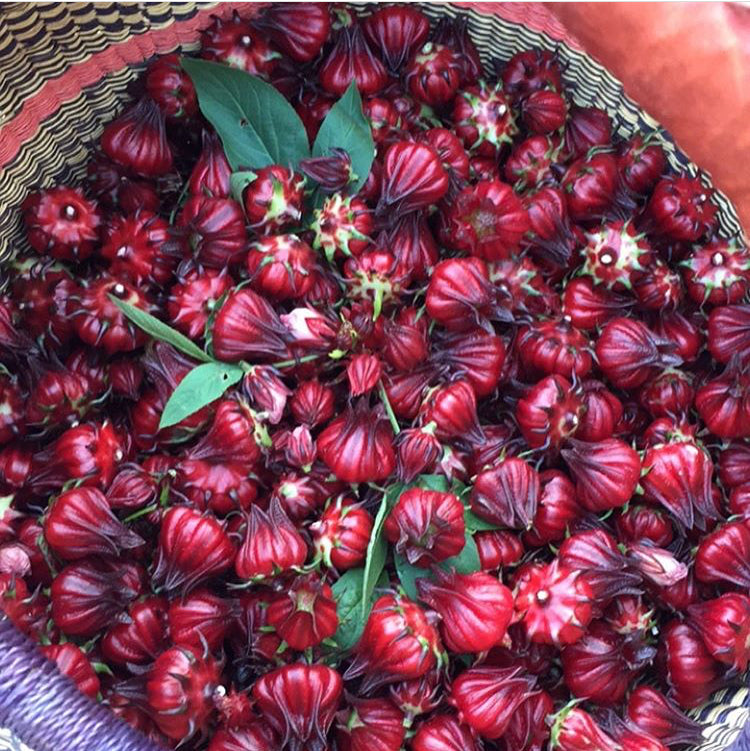 Bulk Herbs A Z Rosalie Botanicals