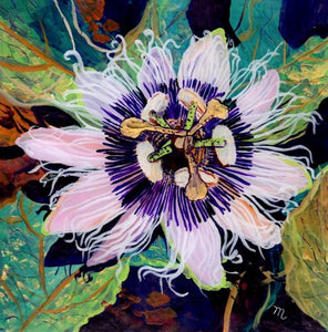 Heart of Herbal Medicine Beginner Herbalist Series