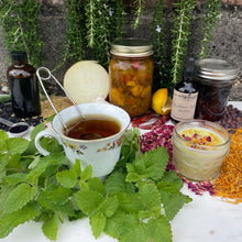 Heart of Herbal Medicine Beginner Herbalist Series