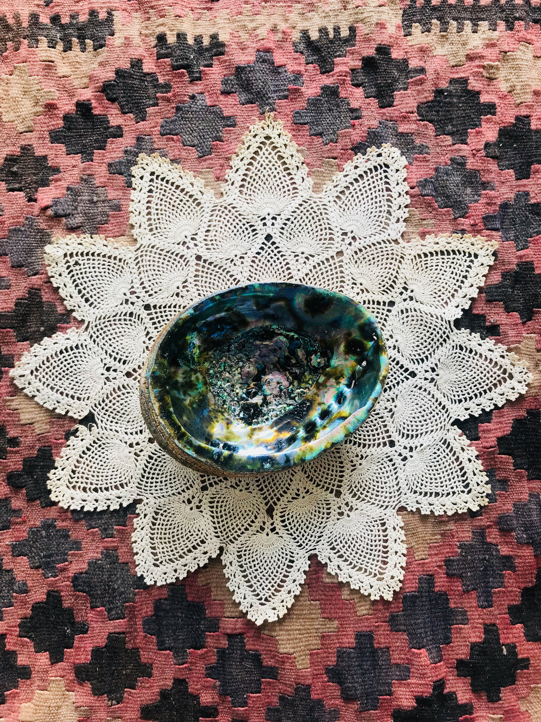 Abalone Shell