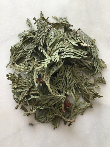 Wildcrafted Cedar Leaf