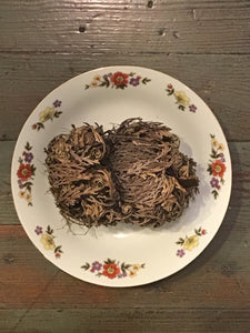 Rose of Jericho