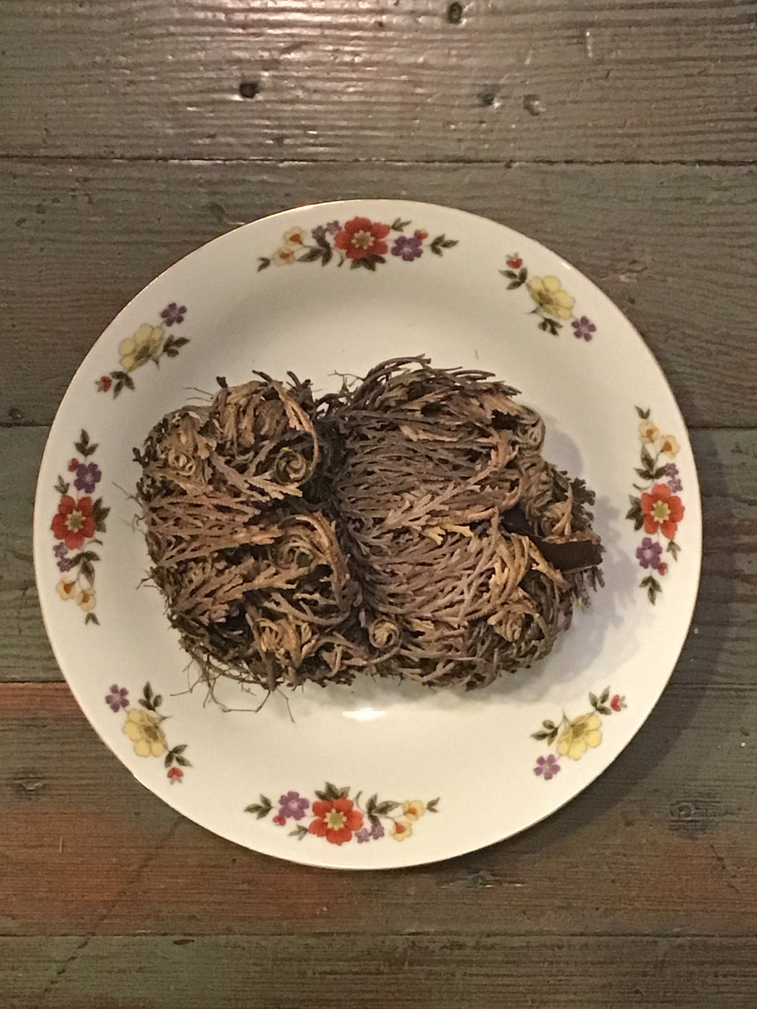 Rose of Jericho