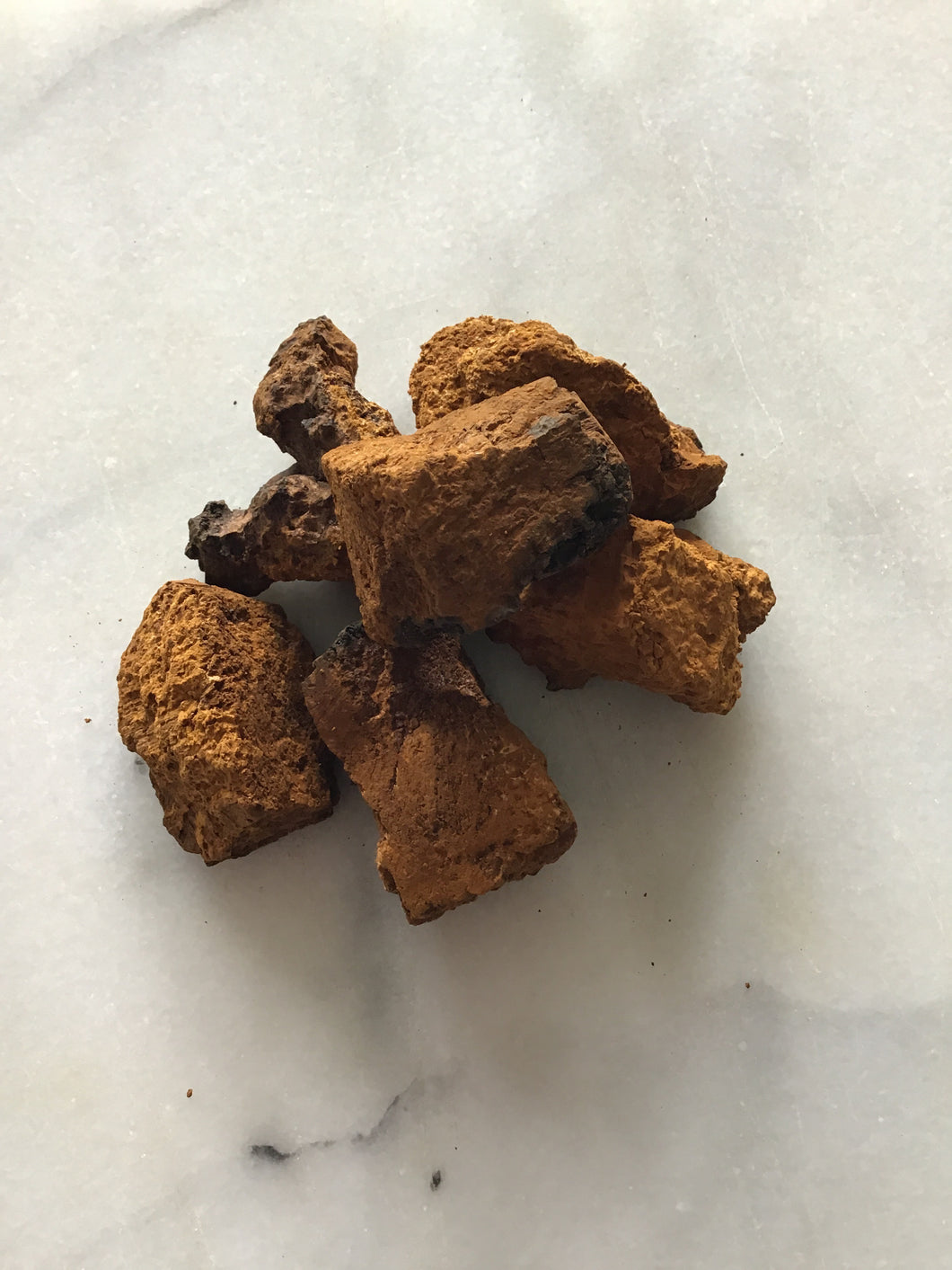 Chaga, Wildcrafted