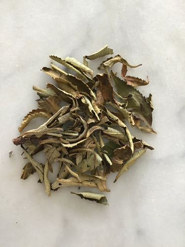 Wild crafted Yerba Santa